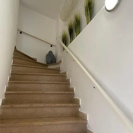 公寓 Duplex Old Town - New ! 昂蒂布
